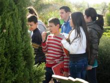 Grupo 1B del IES Parque Lineal de Albacete en el Jardín Botánico de Castilla-La Mancha (10/04/2015